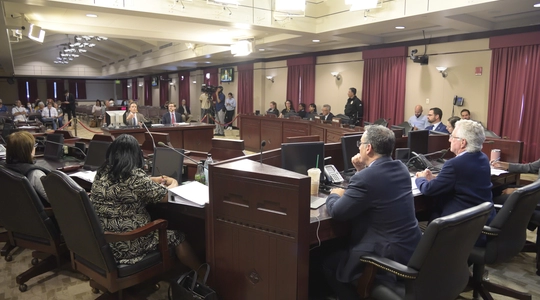 Ad Hoc Committee on City Governance Reform meets at Van Nuys City Hall