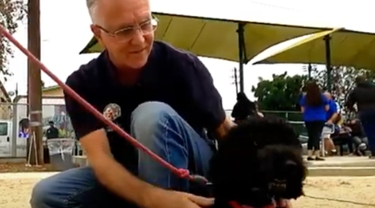 Smiling Council President Krekorian, in jeans and polo shirt, kneels to pet black poodle