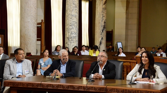 Professors Fernando Guerra, Raphael Sonenshein, Gary Segura and Sara Sadhwani testify before Committee on City Governance Reform.